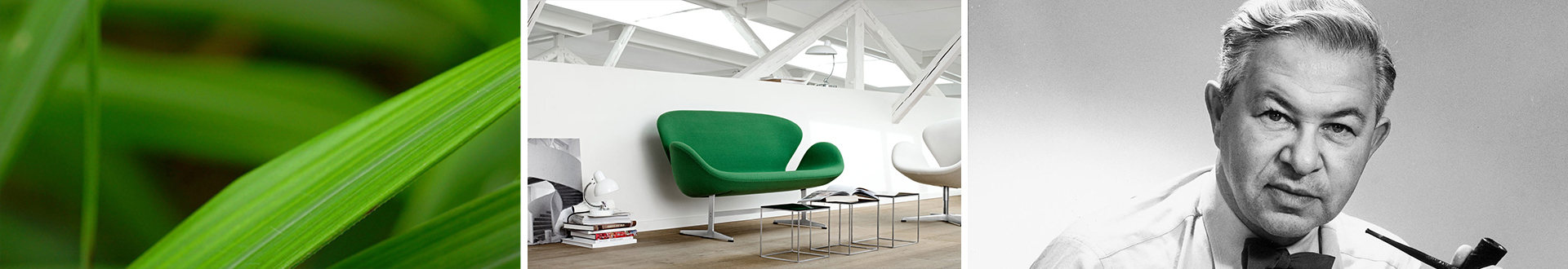 创意安博网页版 安博anbo（中国） 雅各布森