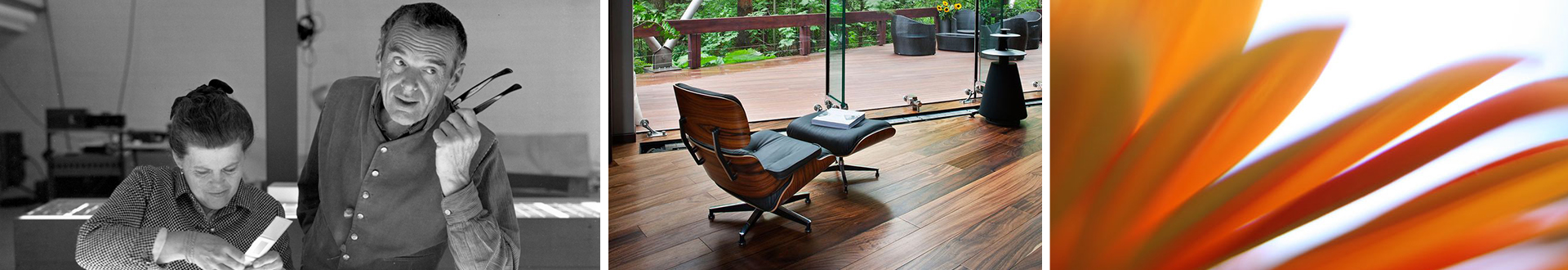 创意安博网页版 安博anbo（中国）