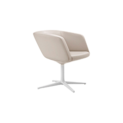 Dino 休闲椅 CG-A2600-9