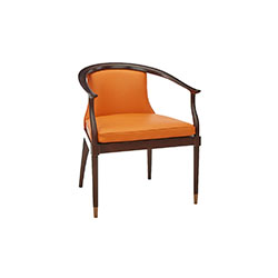 上雅-休闲沙发 CG-Y123