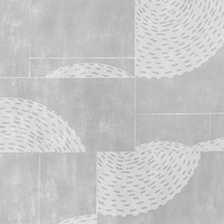 卡利玛-原创定制壁画 CG-NDC5025