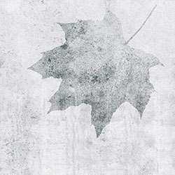 枫叶-原创定制壁画 CG-NDC5050