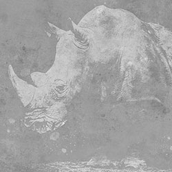 犀牛-原创定制壁画 CG-NDC5185