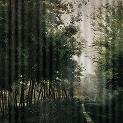 曲径-原创定制壁画 CG-NDC5223