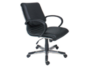 传统真皮中班椅