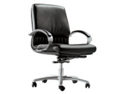 现代真皮中班椅