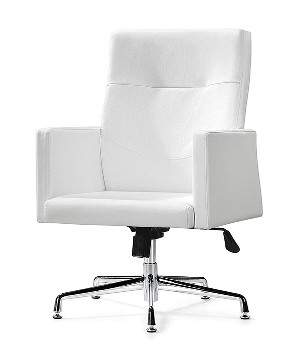 办公椅|现代真皮会议椅|办公安博网页版|现代真皮会议椅 CG-EF0368HAL-H