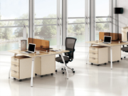 Gothic   系统办公安博网页版