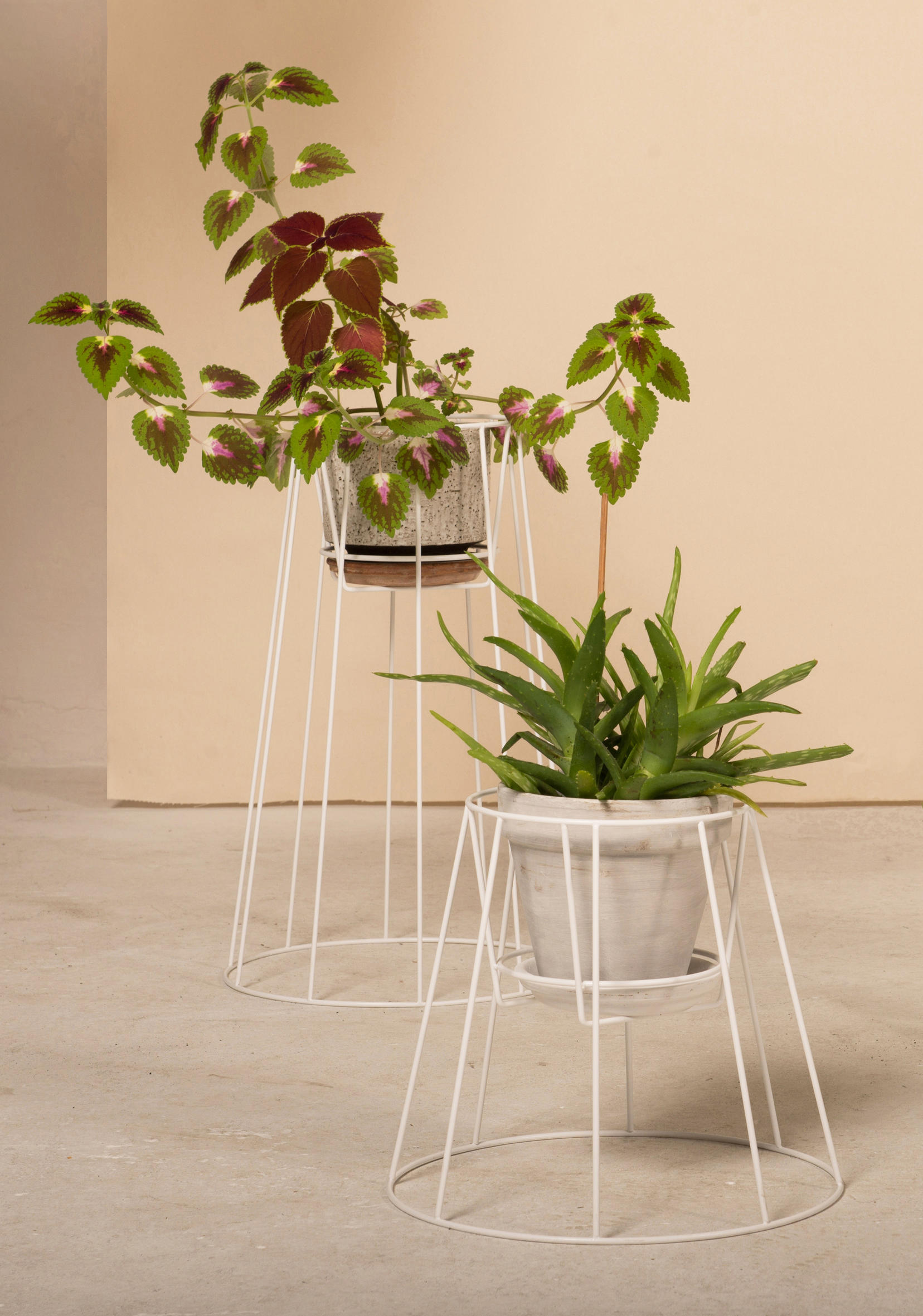 创意安博网页版 - 附件|花器|办公安博网页版|安博anbo（中国）安博网页版|西布莉植物架