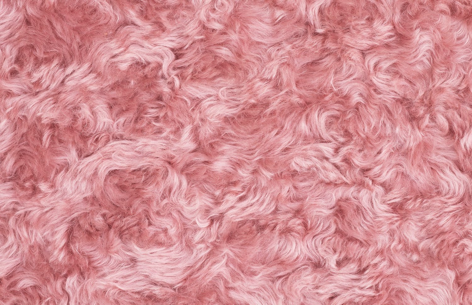 创意安博网页版 - 坐具|休闲椅|办公安博网页版|安博anbo（中国）安博网页版|Uni休闲椅