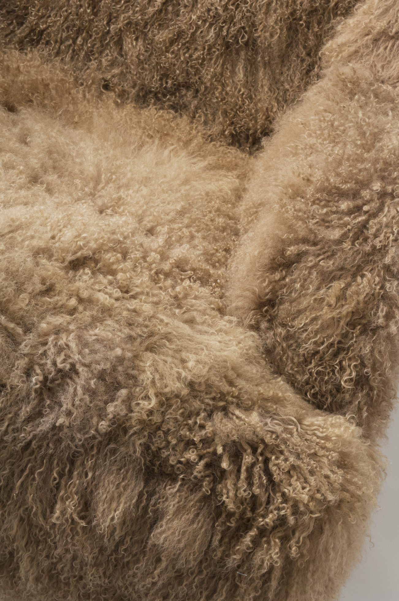 创意安博网页版 - 坐具|休闲椅|办公安博网页版|安博anbo（中国）安博网页版|mammoth wing 椅子