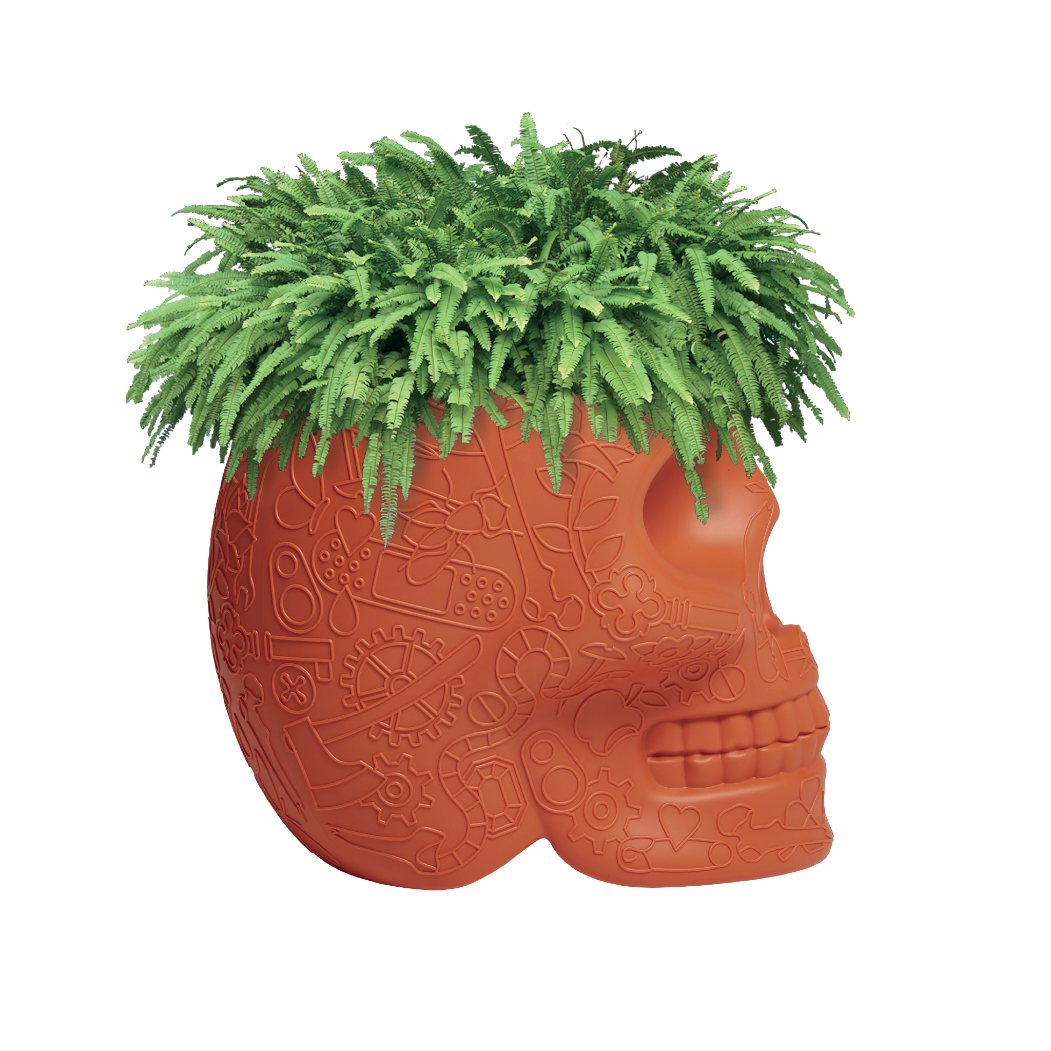 创意安博网页版 - 附件|花器|办公安博网页版|安博anbo（中国）安博网页版|墨西哥花盆