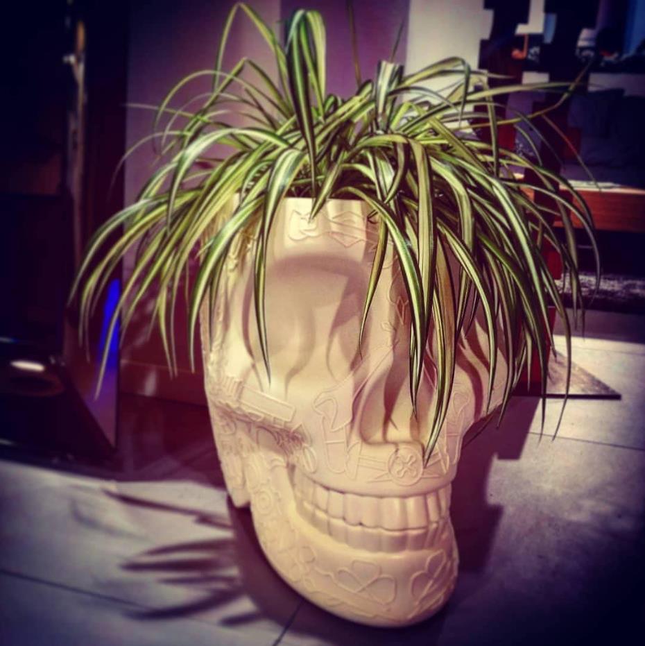 创意安博网页版 - 附件|花器|办公安博网页版|安博anbo（中国）安博网页版|墨西哥花盆