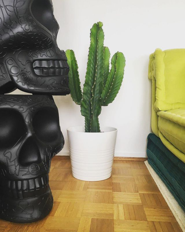 创意安博网页版 - 坐具|吧椅/凳子|办公安博网页版|安博anbo（中国）安博网页版|墨西哥矮凳