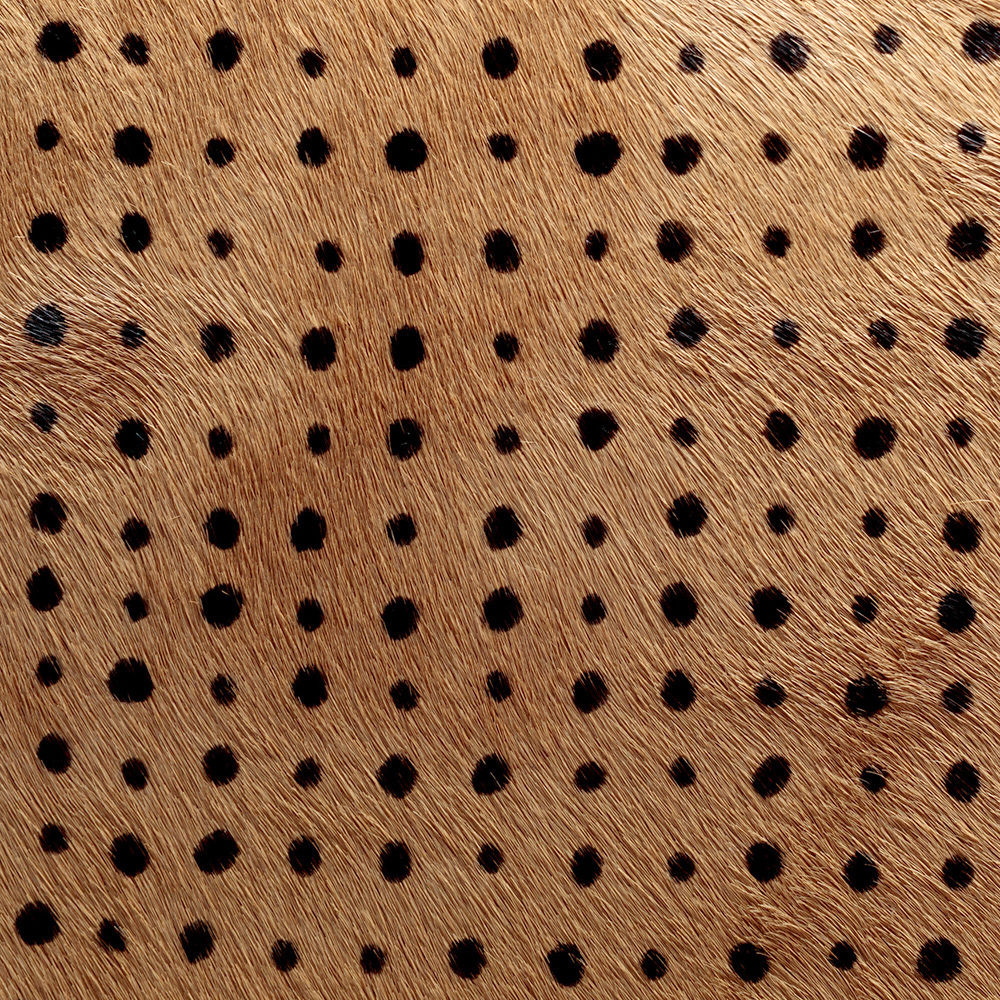 创意安博网页版 - 坐具|餐椅|办公安博网页版|安博anbo（中国）安博网页版|Elliot餐椅