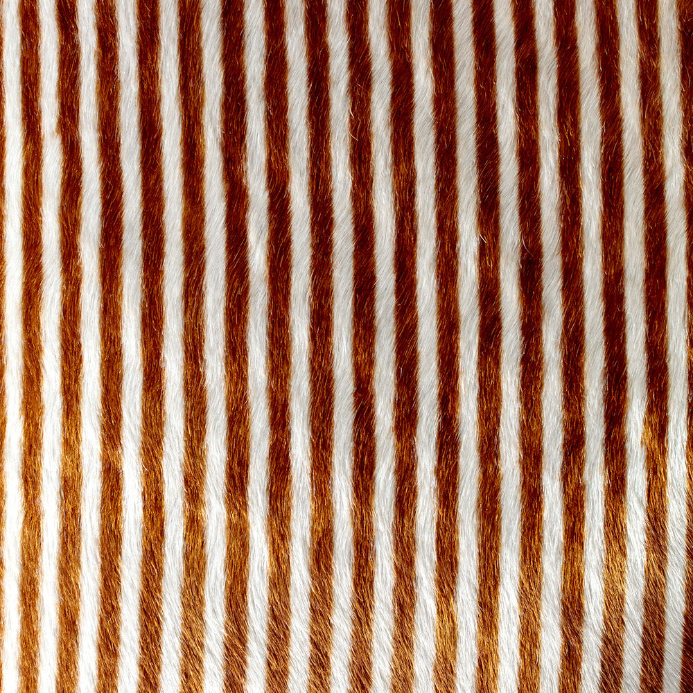 创意安博网页版 - 坐具|餐椅|办公安博网页版|安博anbo（中国）安博网页版|Elliot餐椅