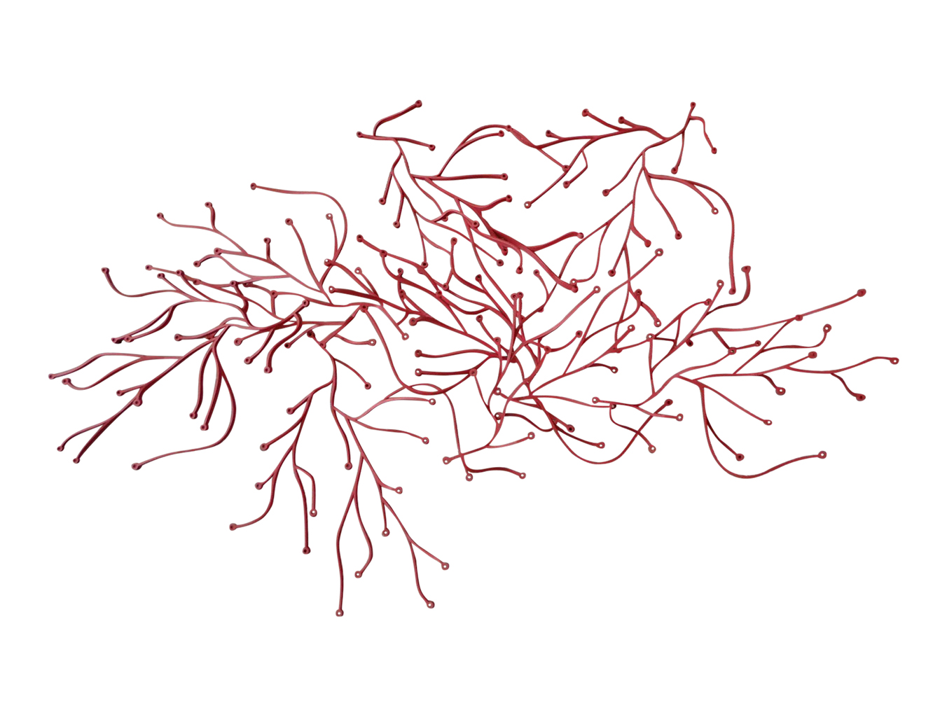 办公辅件|办公文具|办公安博网页版|安博anbo（中国）安博网页版|海草办公饰品