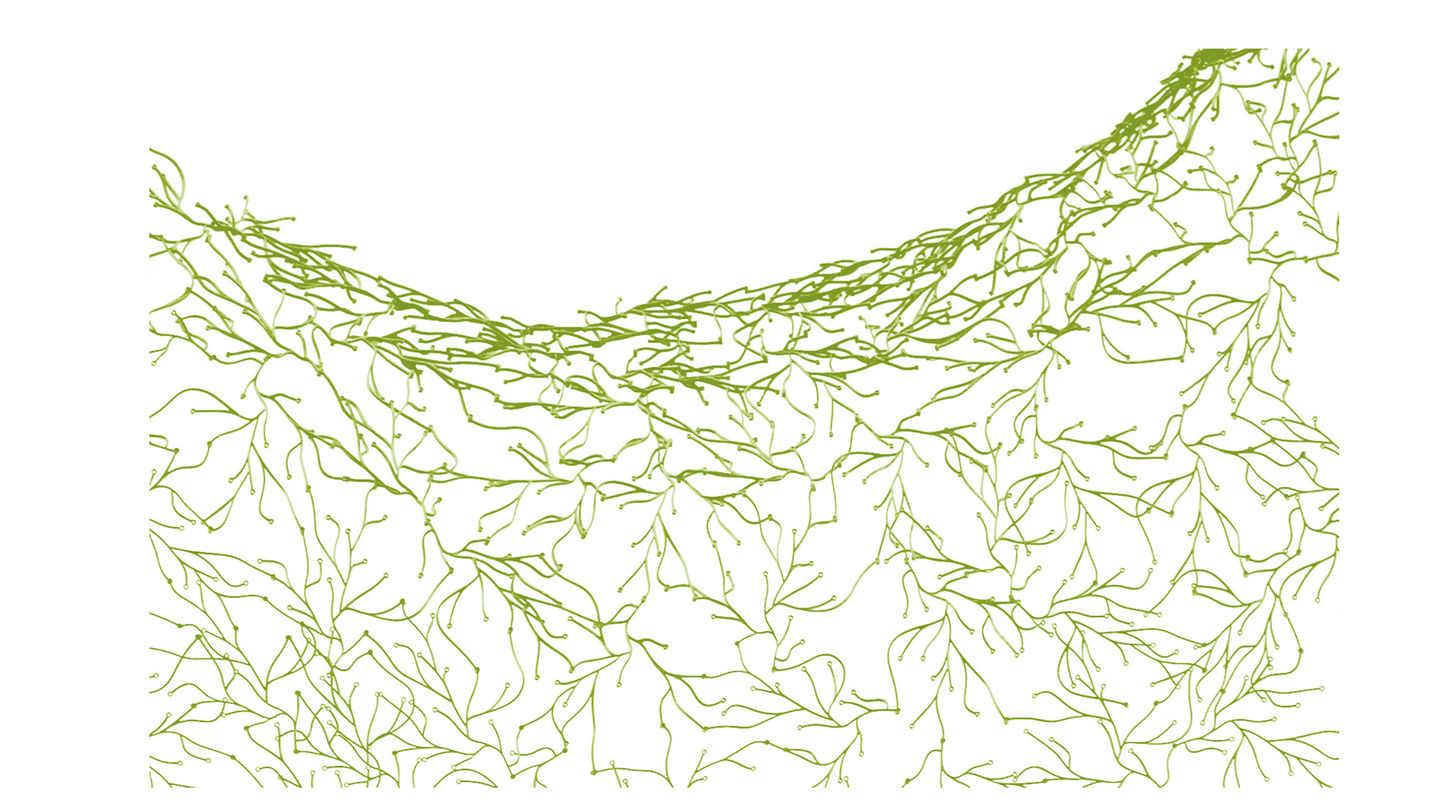 办公辅件|办公文具|办公安博网页版|安博anbo（中国）安博网页版|海草办公饰品