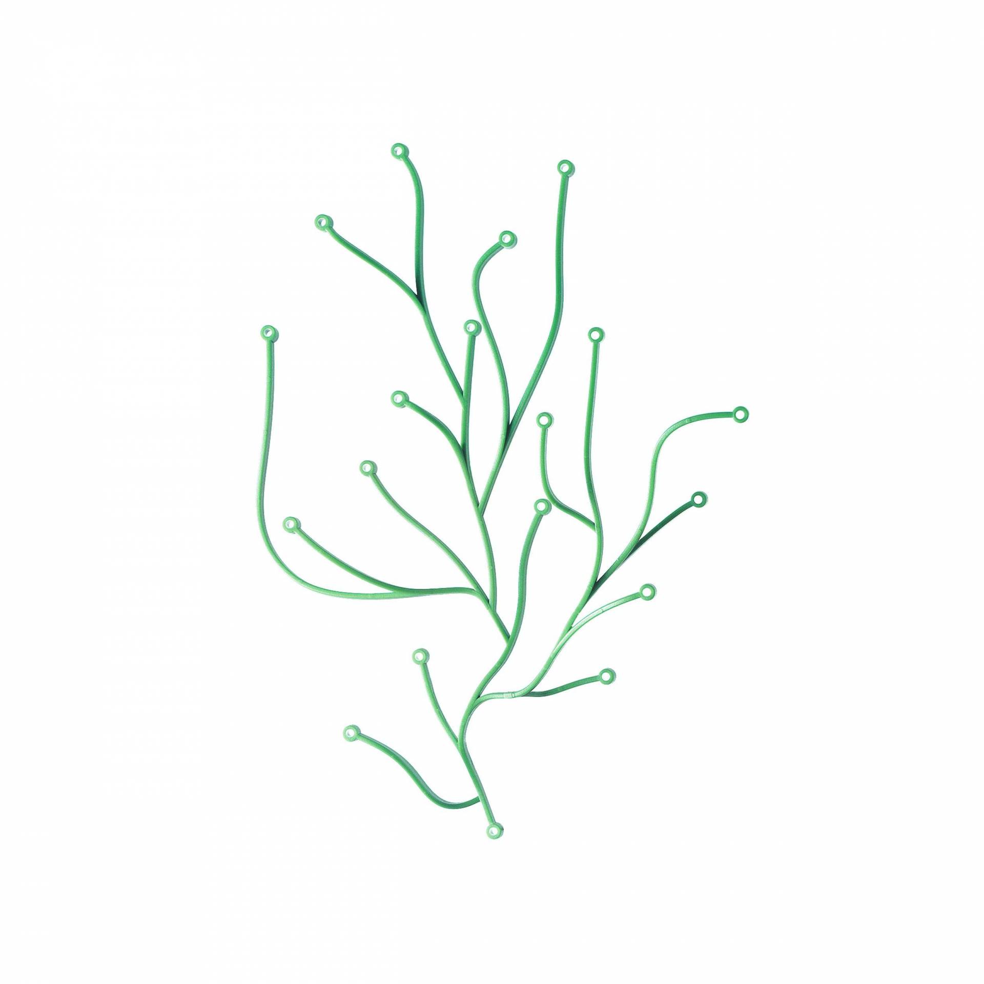 办公辅件|办公文具|办公安博网页版|安博anbo（中国）安博网页版|海草办公饰品