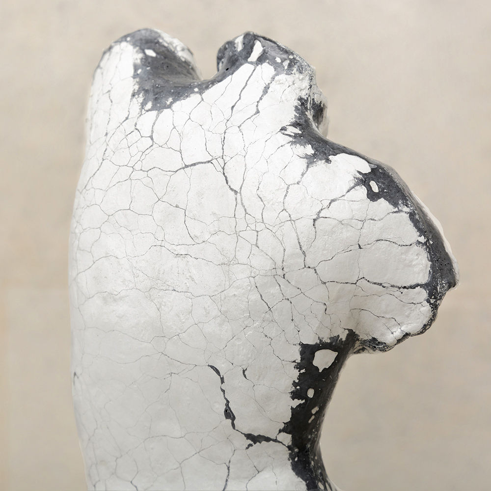 创意安博网页版 - 附件|饰品|办公安博网页版|安博anbo（中国）安博网页版|Rarity女性躯干