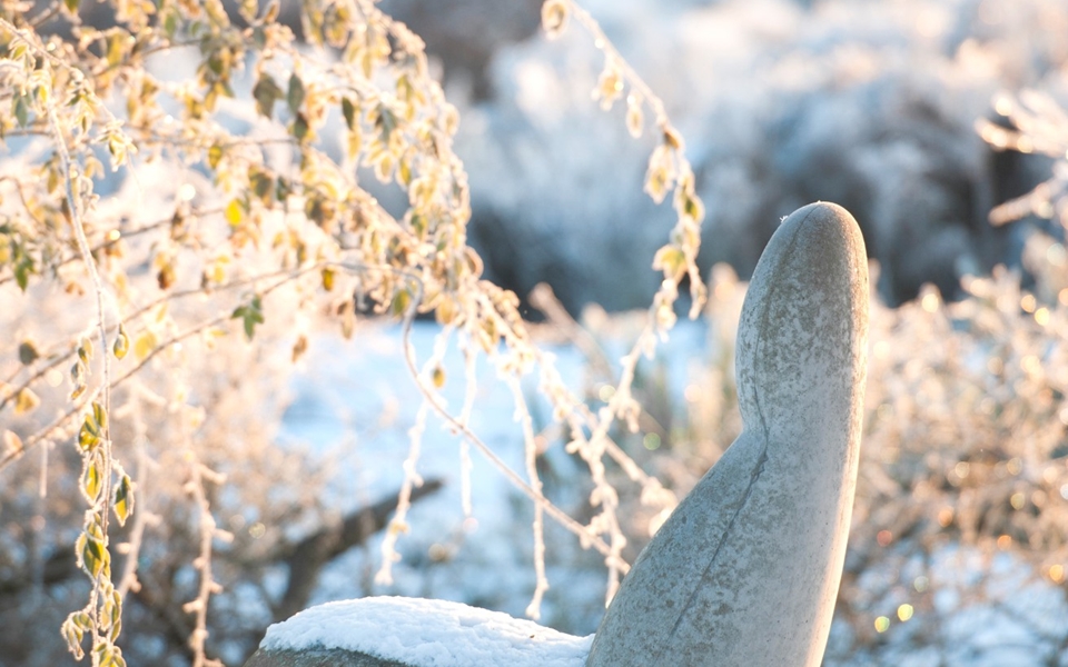 创意安博网页版 - 坐具|沙发|办公安博网页版|安博anbo（中国）安博网页版|Oppo  沙发椅