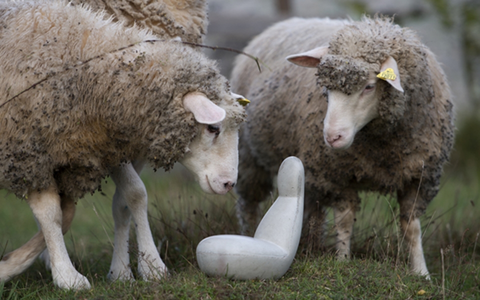 创意安博网页版 - 坐具|沙发|办公安博网页版|安博anbo（中国）安博网页版|Oppo  沙发椅