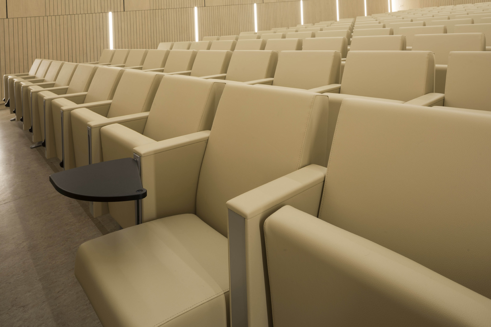 公共座椅|礼堂椅、报告厅椅|办公安博网页版|安博anbo（中国）安博网页版|C100 剧院/礼堂椅