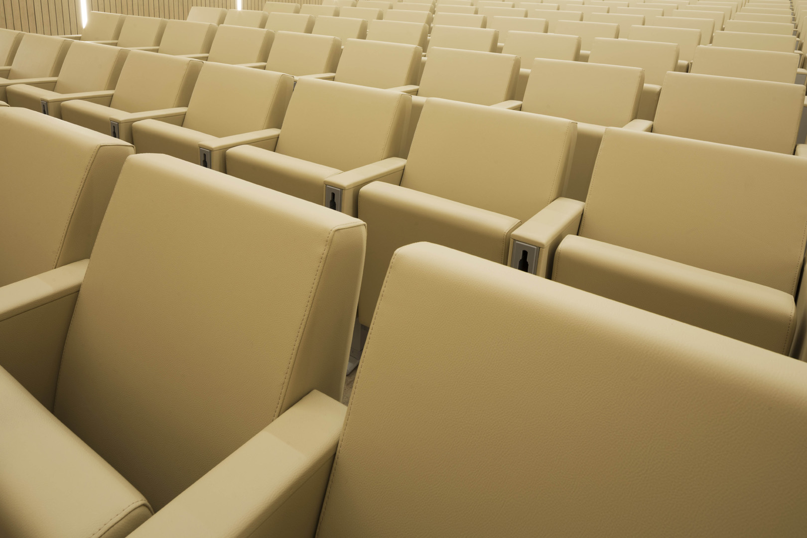 公共座椅|礼堂椅、报告厅椅|办公安博网页版|安博anbo（中国）安博网页版|C100 剧院/礼堂椅