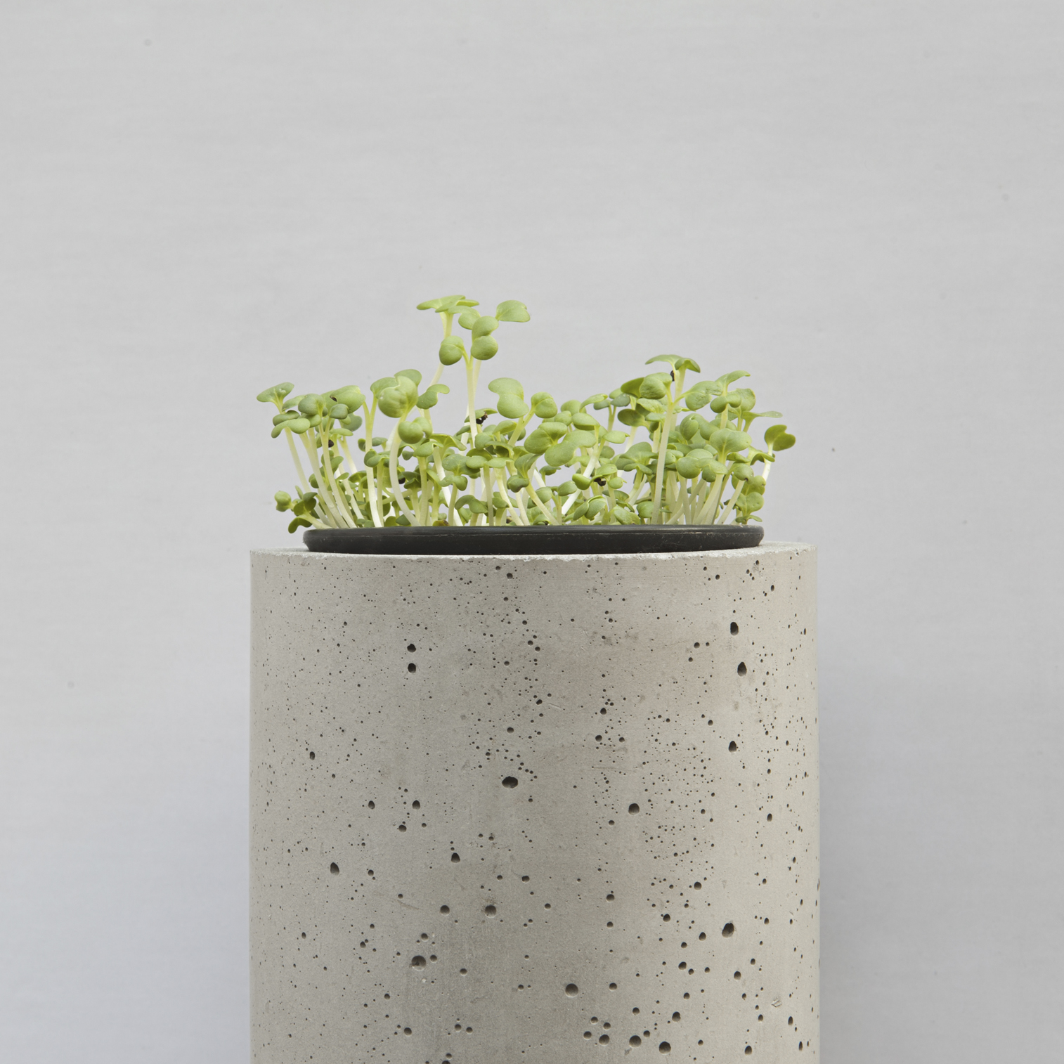 创意安博网页版 - 附件|花器|办公安博网页版|安博anbo（中国）安博网页版|挂墙式花钵-杯