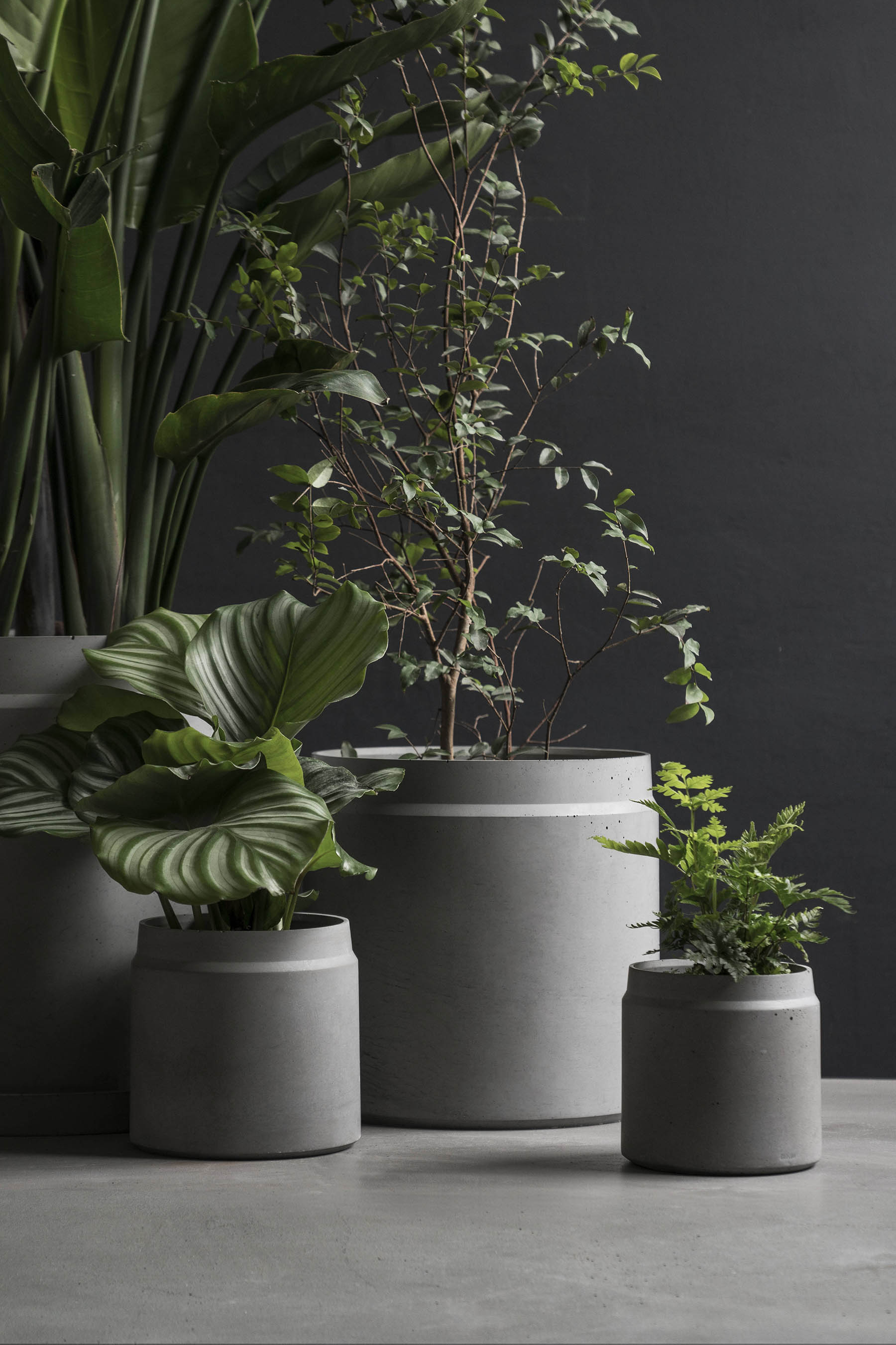 创意安博网页版 - 附件|花器|办公安博网页版|安博anbo（中国）安博网页版|花钵-圆