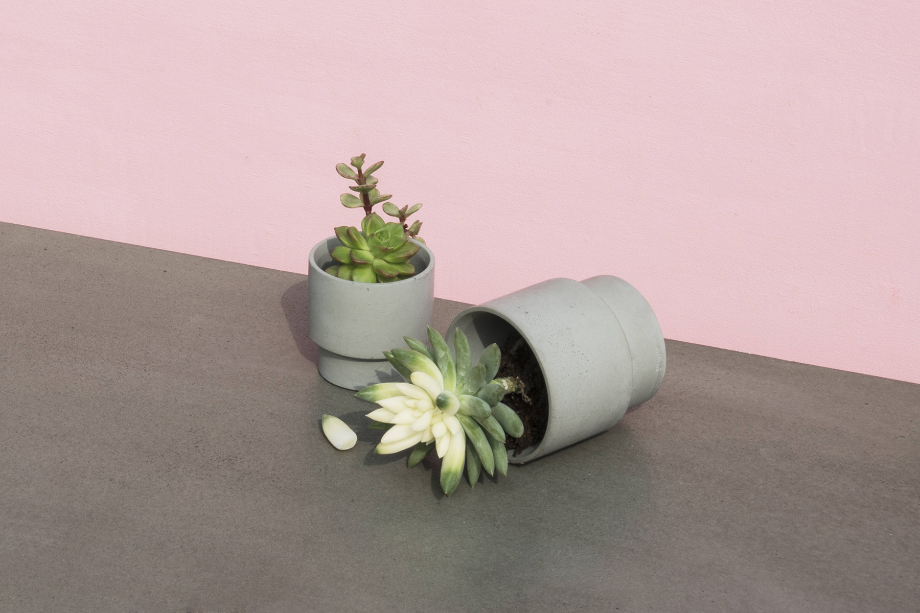 创意安博网页版 - 附件|花器|办公安博网页版|安博anbo（中国）安博网页版|花钵/蜡烛台-息