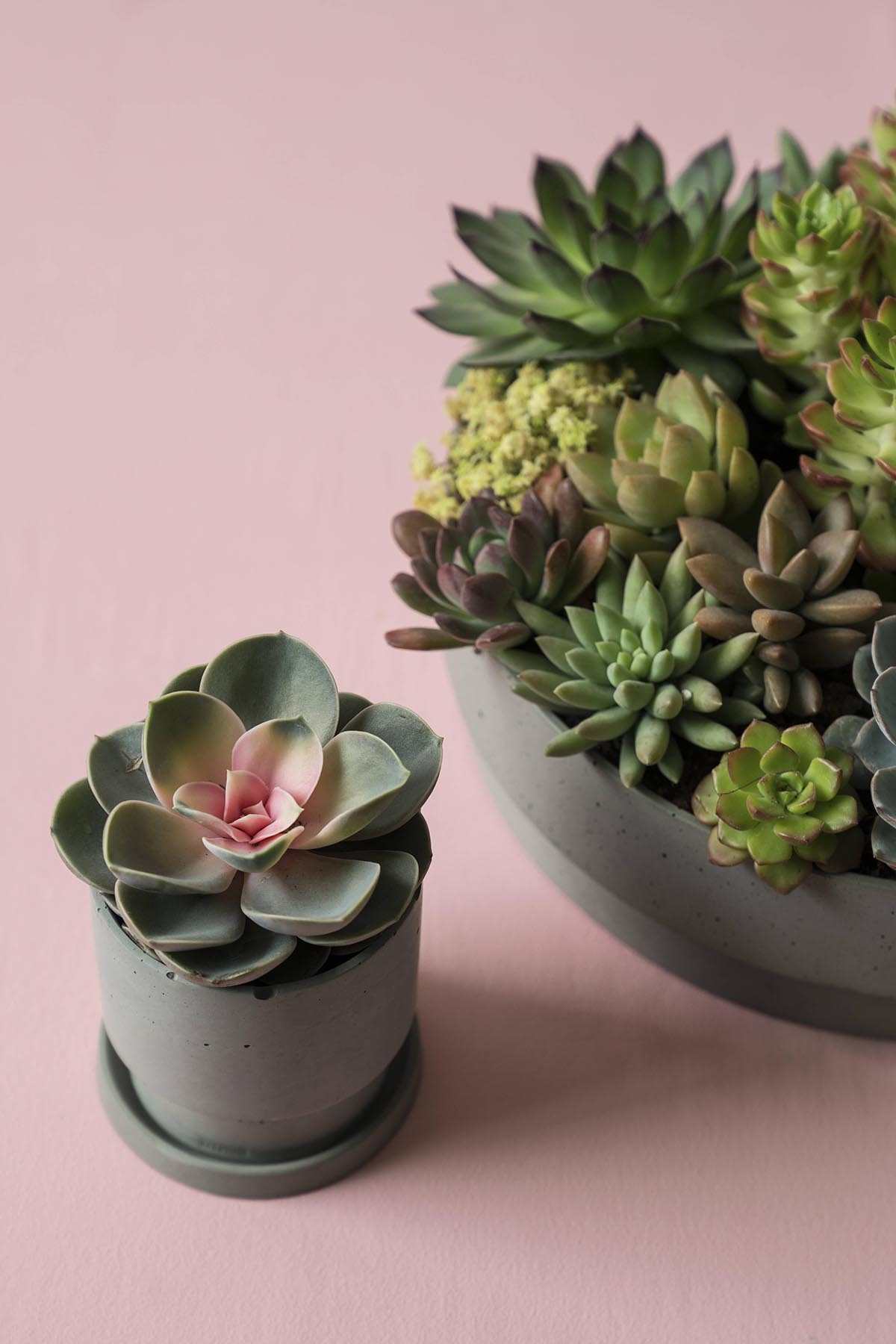 创意安博网页版 - 附件|花器|办公安博网页版|安博anbo（中国）安博网页版|花钵/蜡烛台-息