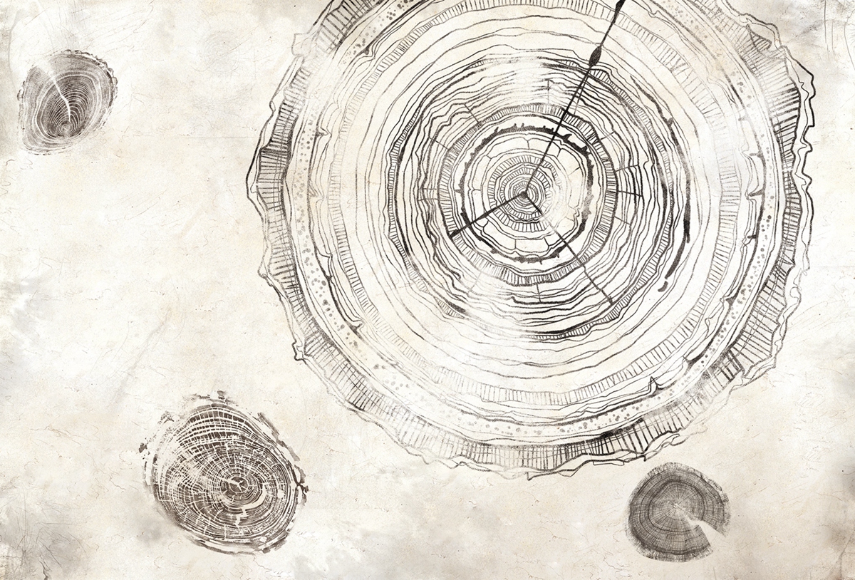 [创意安博网页版 - 附件|装饰画/墙饰|办公安博网页版|安博anbo（中国）安博网页版|万物生长-原创定制壁画]