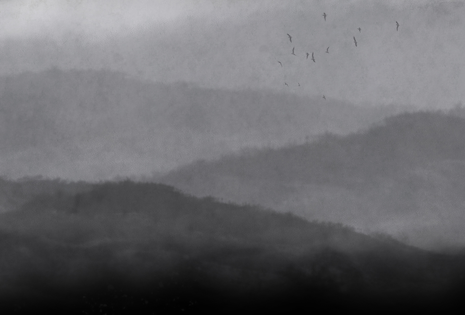 [创意安博网页版 - 附件|装饰画/墙饰|办公安博网页版|安博anbo（中国）安博网页版|雾-原创定制壁画]