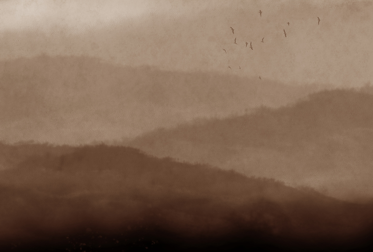 创意安博网页版 - 附件|装饰画/墙饰|办公安博网页版|安博anbo（中国）安博网页版|雾-原创定制壁画