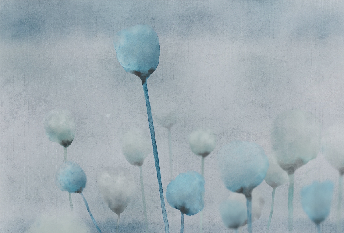 [创意安博网页版 - 附件|装饰画/墙饰|办公安博网页版|安博anbo（中国）安博网页版|罂粟-原创定制壁画]