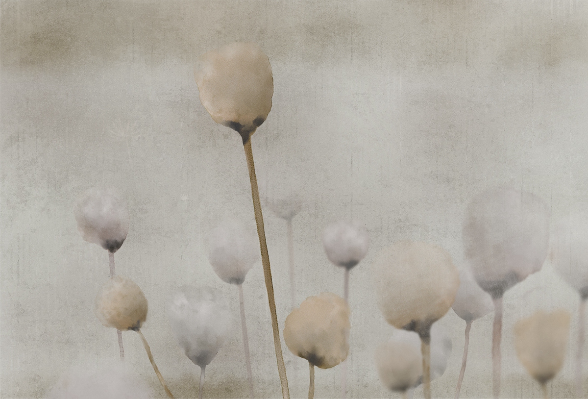 创意安博网页版 - 附件|装饰画/墙饰|办公安博网页版|安博anbo（中国）安博网页版|罂粟-原创定制壁画