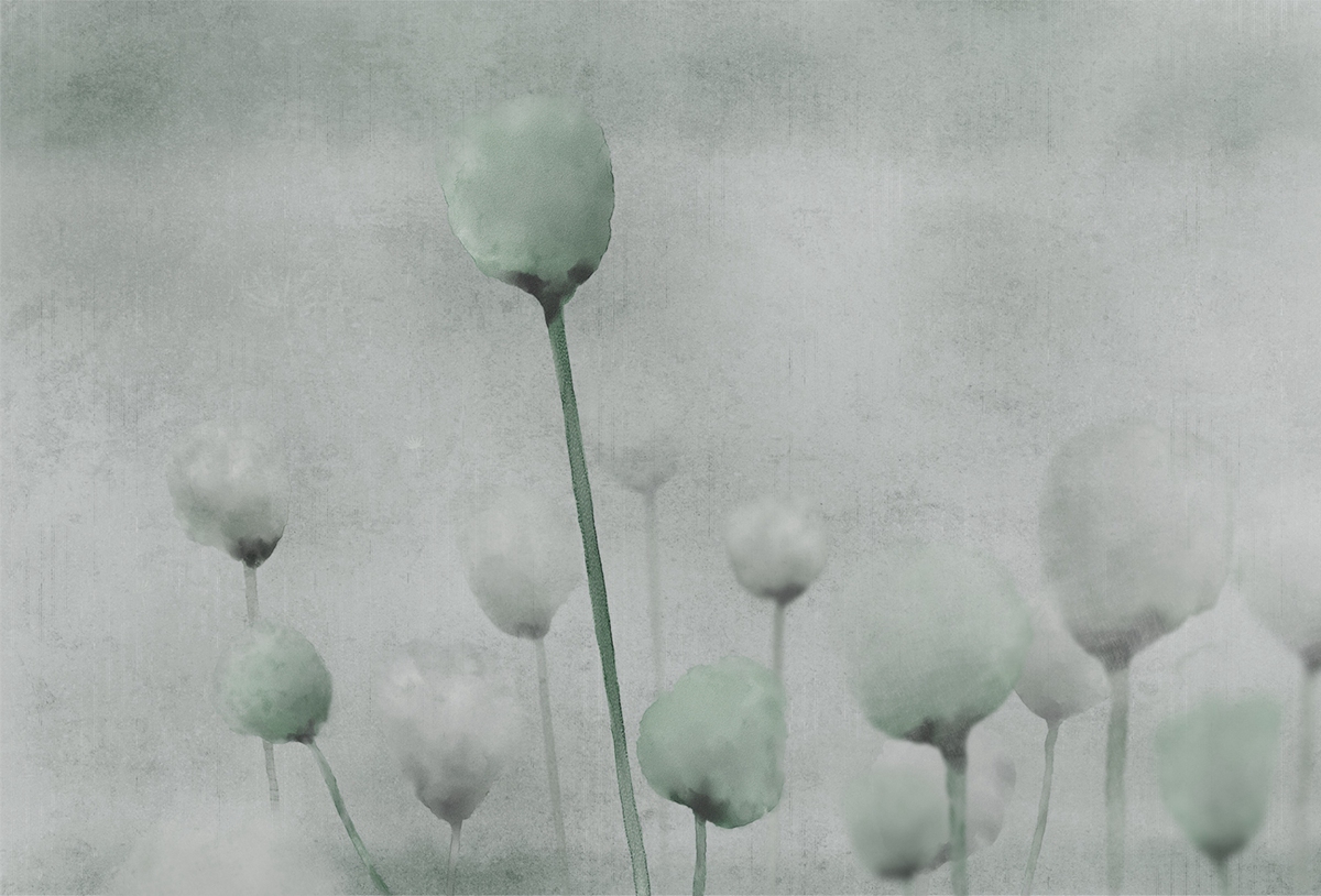 创意安博网页版 - 附件|装饰画/墙饰|办公安博网页版|安博anbo（中国）安博网页版|罂粟-原创定制壁画