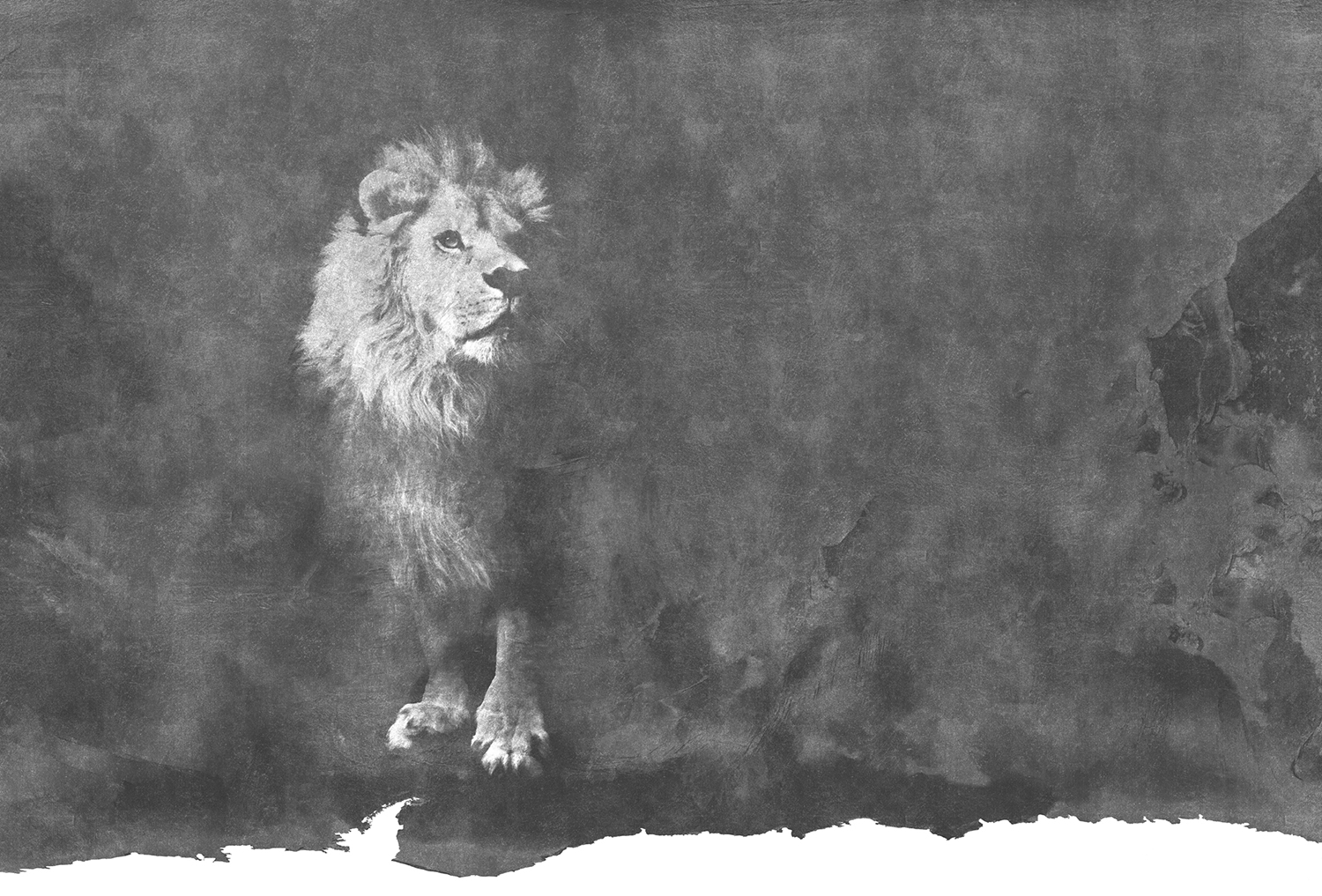 [创意安博网页版 - 附件|装饰画/墙饰|办公安博网页版|安博anbo（中国）安博网页版|狮子-原创定制壁画]