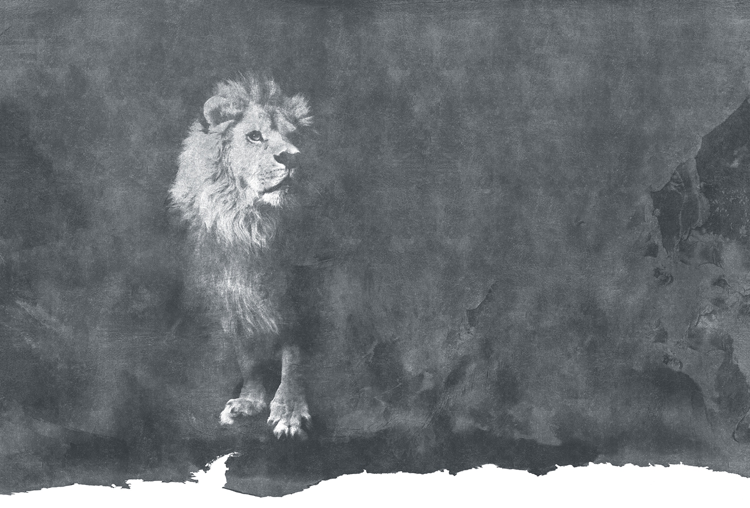 创意安博网页版 - 附件|装饰画/墙饰|办公安博网页版|安博anbo（中国）安博网页版|狮子-原创定制壁画