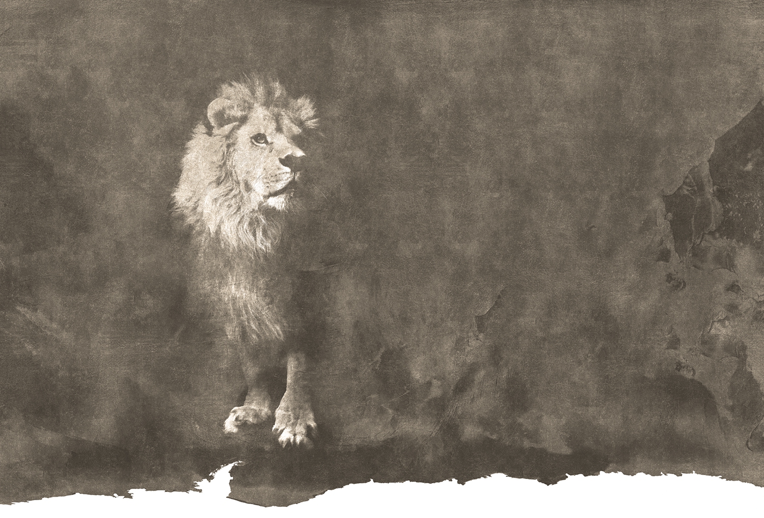 创意安博网页版 - 附件|装饰画/墙饰|办公安博网页版|安博anbo（中国）安博网页版|狮子-原创定制壁画