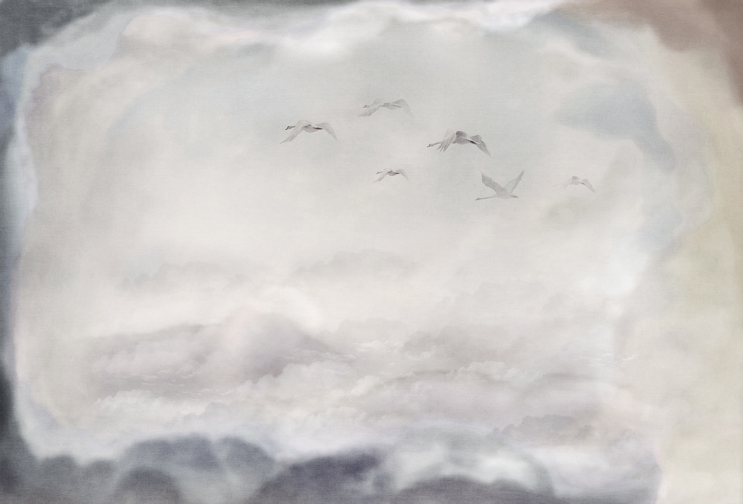 创意安博网页版 - 附件|装饰画/墙饰|办公安博网页版|安博anbo（中国）安博网页版|候鸟-原创定制壁画