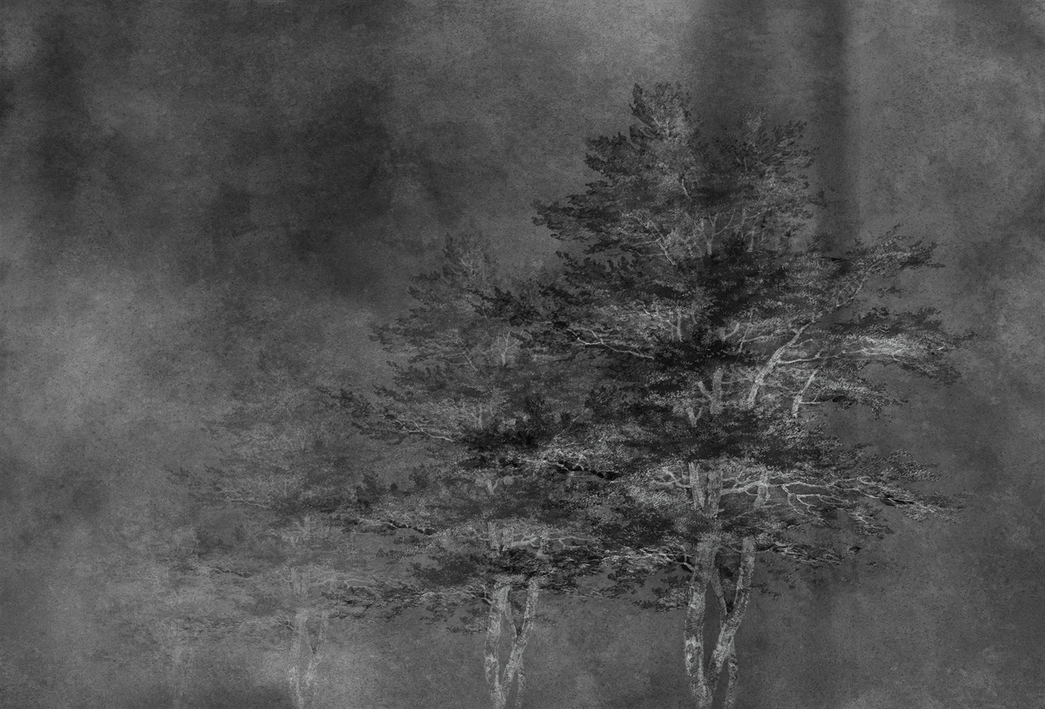 创意安博网页版 - 附件|装饰画/墙饰|办公安博网页版|安博anbo（中国）安博网页版|雾凇-原创定制壁画