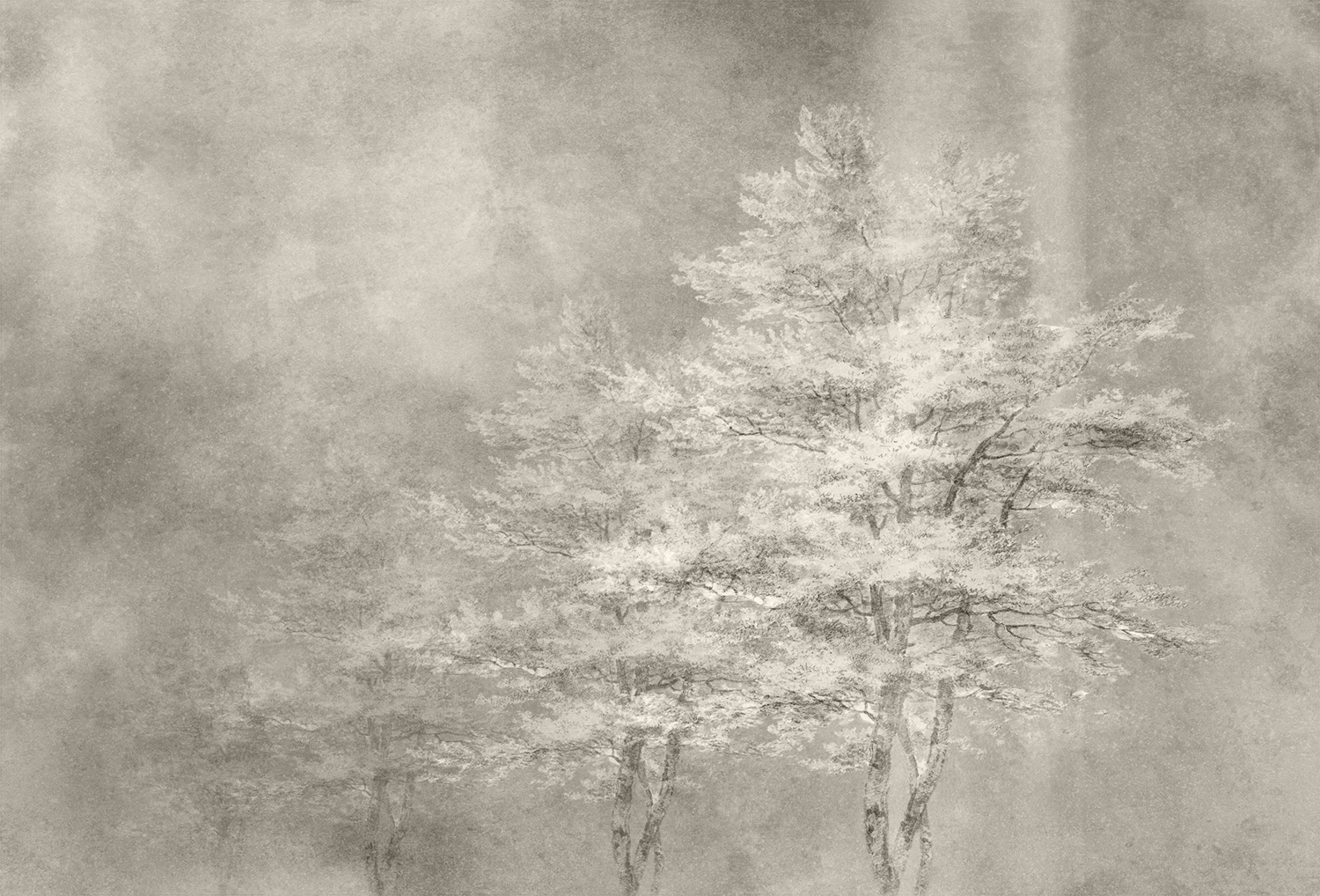 创意安博网页版 - 附件|装饰画/墙饰|办公安博网页版|安博anbo（中国）安博网页版|雾凇-原创定制壁画