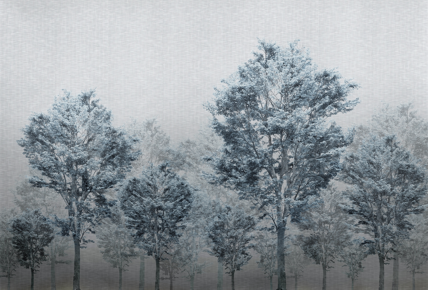 [创意安博网页版 - 附件|装饰画/墙饰|办公安博网页版|安博anbo（中国）安博网页版|从林-原创定制壁画]