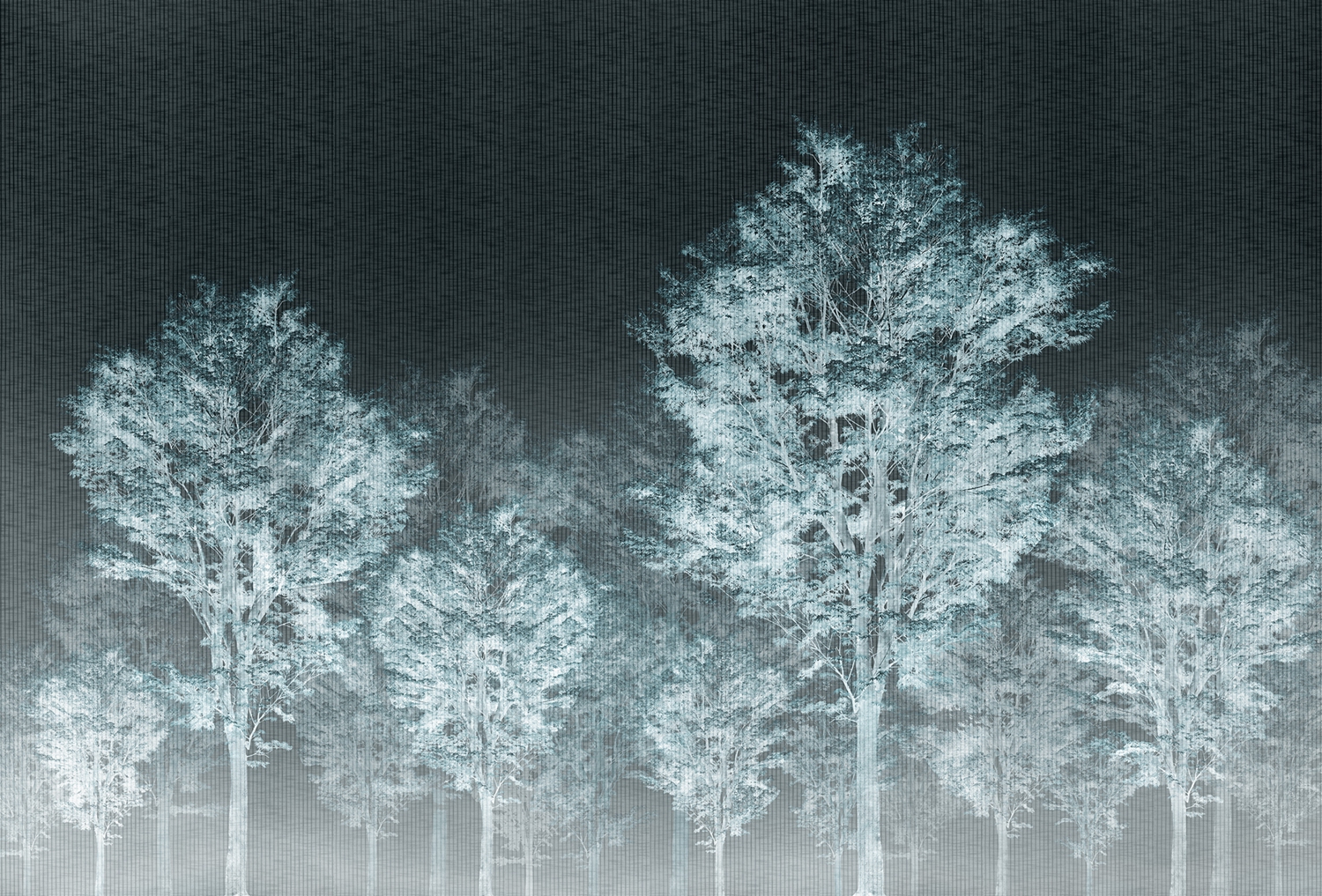 创意安博网页版 - 附件|装饰画/墙饰|办公安博网页版|安博anbo（中国）安博网页版|从林-原创定制壁画