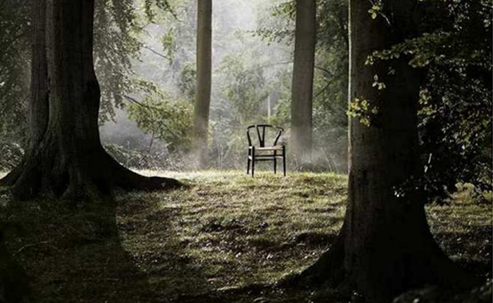 创意安博网页版 - 坐具|餐椅|办公安博网页版|安博anbo（中国）安博网页版|Y椅