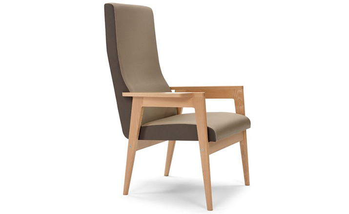 创意安博网页版 - 坐具|休闲椅|办公安博网页版|安博anbo（中国）安博网页版|Danesa 扶手椅