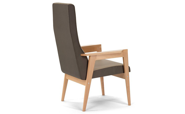 创意安博网页版 - 坐具|休闲椅|办公安博网页版|安博anbo（中国）安博网页版|Danesa 扶手椅