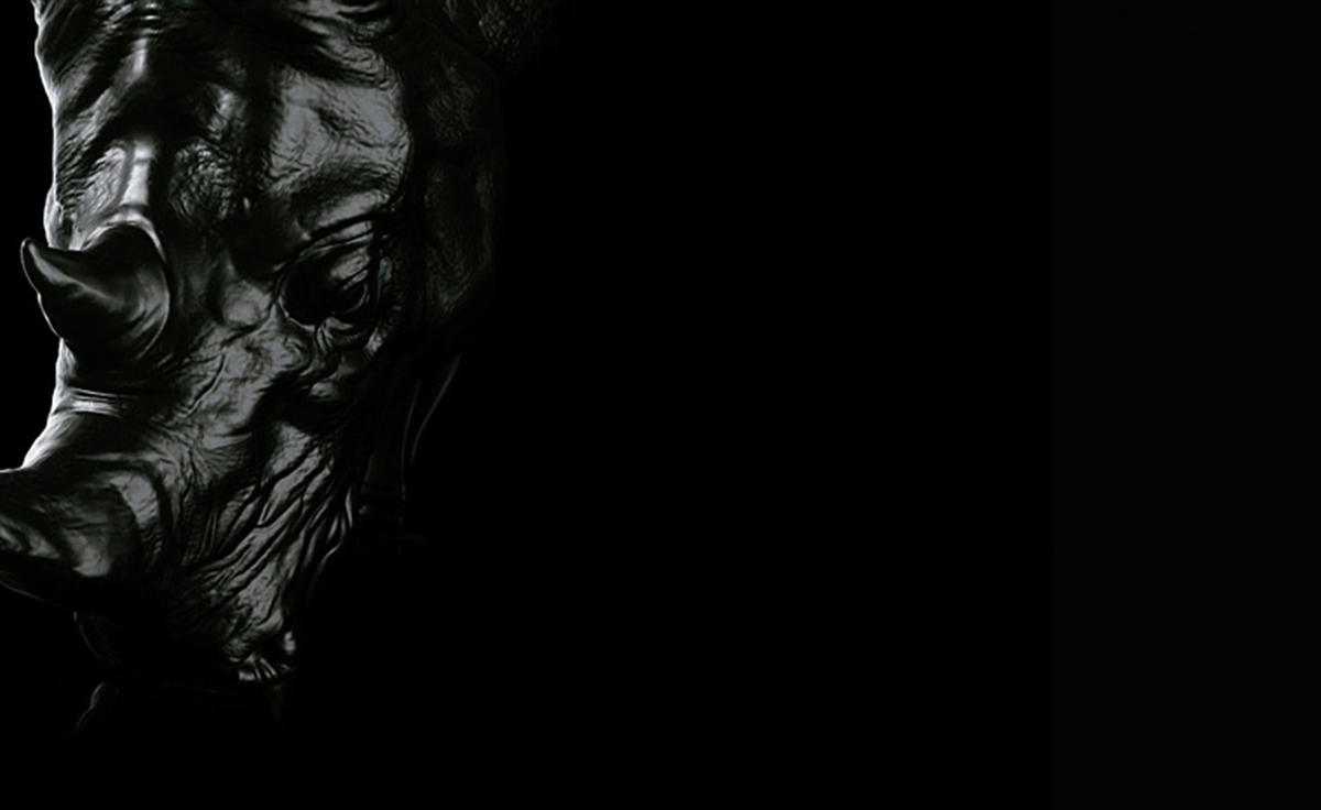 创意安博网页版 - 坐具|休闲椅|办公安博网页版|安博anbo（中国）安博网页版|犀牛椅